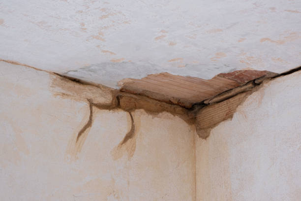 Best Mold removal after water damage  in Deer Lodge, MT