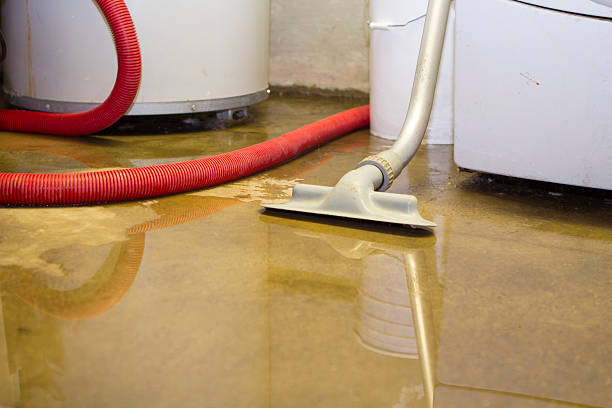 Best Flood restoration services  in Deer Lodge, MT