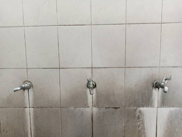 Carpet water damage restoration in Deer Lodge, MT