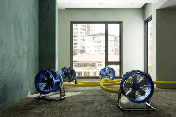 Best 24-hour water damage restoration  in Deer Lodge, MT